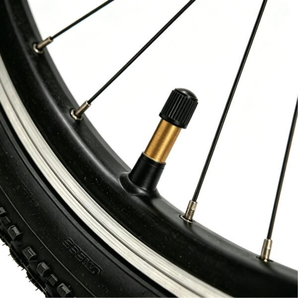 Black PE Schrader Tire Valve Caps – 2 Pieces